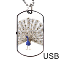 Peacock Colorful Bird Feather Blue Dog Tag Usb Flash (two Sides) by Wegoenart