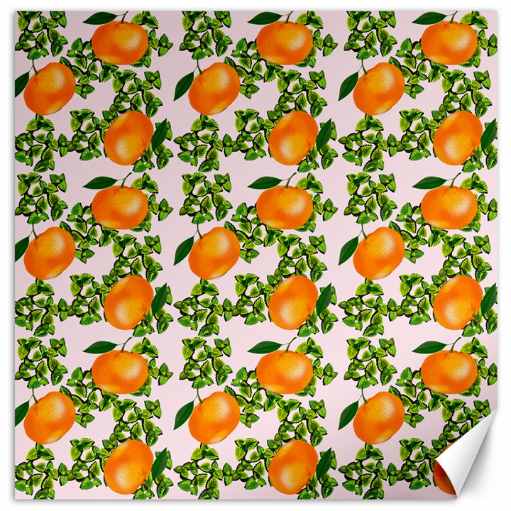 Citrus Tropical Orange Pink Canvas 20  x 20 