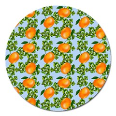 Citrus Tropical Orange Blue Magnet 5  (round)