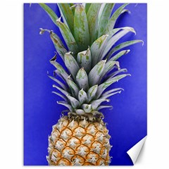 Pineapple Blue Canvas 36  X 48 