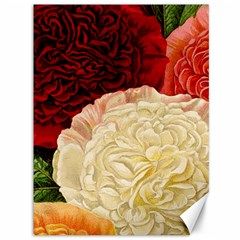Vintage Carnation Flowers Canvas 36  X 48 