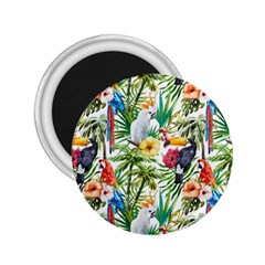 Tropical parrots pattern 2.25  Magnets