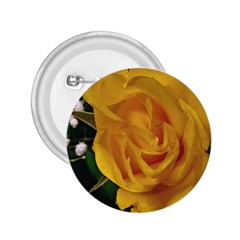 Yellow Rose 2 25  Buttons by Riverwoman