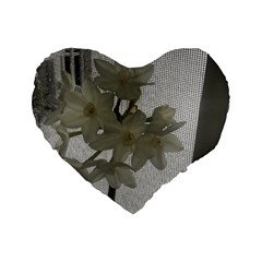 Paperwhite Standard 16  Premium Heart Shape Cushions by Riverwoman