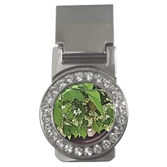 Garden Of The Phoenix  Money Clips (cz)  by Riverwoman