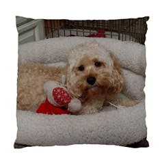 Cockapoo In Dog s Bed Standard Cushion Case (one Side) by pauchesstore