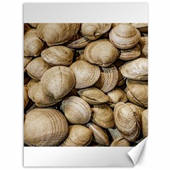 Shellfishs Photo Print Pattern Canvas 36  X 48 