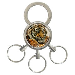 Tiger Cub  3-ring Key Chains by ArtByThree