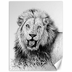 Lion Wildlife Art And Illustration Pencil Canvas 12  X 16  by Sudhe