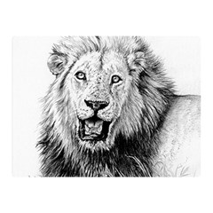 Lion Wildlife Art And Illustration Pencil Double Sided Flano Blanket (mini)  by Sudhe