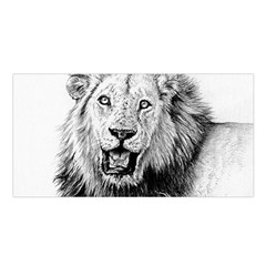 Lion Wildlife Art And Illustration Pencil Satin Shawl