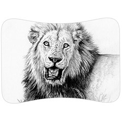 Lion Wildlife Art And Illustration Pencil Velour Seat Head Rest Cushion by Sudhe