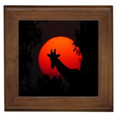 Giraffe Animal Africa Sunset Framed Tiles