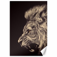 Angry Male Lion Canvas 12  X 18 