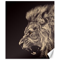 Angry Male Lion Canvas 20  X 24 