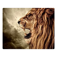 Roaring Lion Double Sided Flano Blanket (large) 