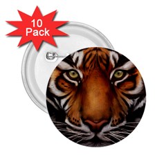 The Tiger Face 2 25  Buttons (10 Pack) 