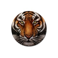 The Tiger Face Magnet 3  (round)