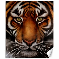 The Tiger Face Canvas 8  X 10 