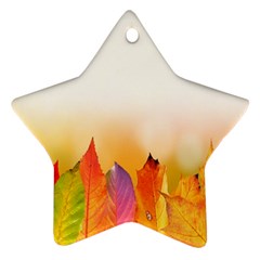 Autumn Leaves Colorful Fall Foliage Ornament (star)
