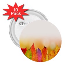 Autumn Leaves Colorful Fall Foliage 2 25  Buttons (10 Pack) 