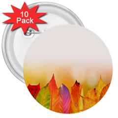 Autumn Leaves Colorful Fall Foliage 3  Buttons (10 Pack) 