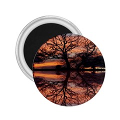 Aurora Sunset Sun Landscape 2 25  Magnets