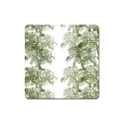 Trees Tile Horizonal Square Magnet