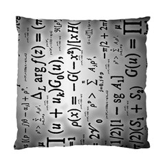 Science Formulas Standard Cushion Case (two Sides) by Sudhe