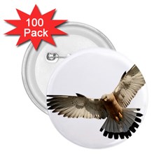 Eagle 2 25  Buttons (100 Pack) 