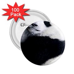 Panda Bear Sleeping 2 25  Buttons (100 Pack) 