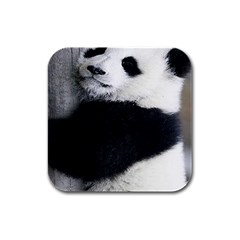 Panda Bear Sleeping Rubber Square Coaster (4 Pack)  by Sudhe