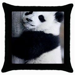 Panda Bear Sleeping Throw Pillow Case (black)