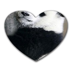 Panda Bear Sleeping Heart Mousepads