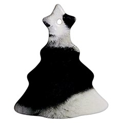 Panda Bear Sleeping Ornament (christmas Tree)  by Sudhe