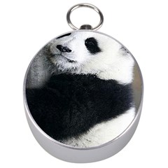 Panda Bear Sleeping Silver Compasses by Sudhe