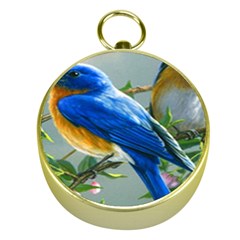 Loving Birds Gold Compasses by Sudhe