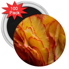 Flowers Leaves Leaf Floral Summer 3  Magnets (100 Pack)