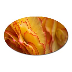 Flowers Leaves Leaf Floral Summer Oval Magnet