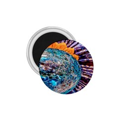 Multi Colored Glass Sphere Glass 1 75  Magnets