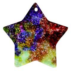 Splashes Of Color Background Star Ornament (two Sides)