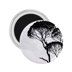 Silhouette Photo Of Trees 2 25  Magnets