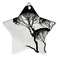 Silhouette Photo Of Trees Star Ornament (two Sides)