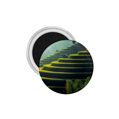 Scenic View Of Rice Paddy 1 75  Magnets