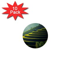 Scenic View Of Rice Paddy 1  Mini Buttons (10 Pack) 