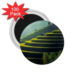 Scenic View Of Rice Paddy 2 25  Magnets (100 Pack) 