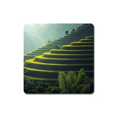 Scenic View Of Rice Paddy Square Magnet