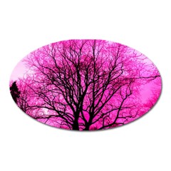 Pink Silhouette Tree Oval Magnet