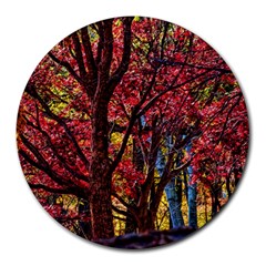 Autumn Colorful Nature Trees Round Mousepads