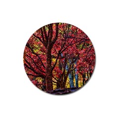 Autumn Colorful Nature Trees Magnet 3  (round)